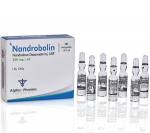 NandroBolin